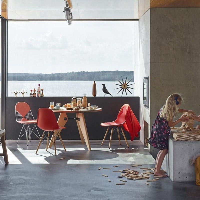 Eames House Bird