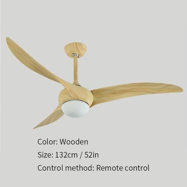 Indoor Ceiling fan light
