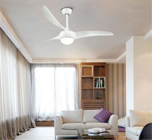 Indoor Ceiling fan light