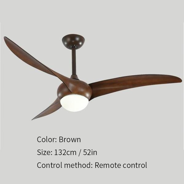Indoor Ceiling fan light