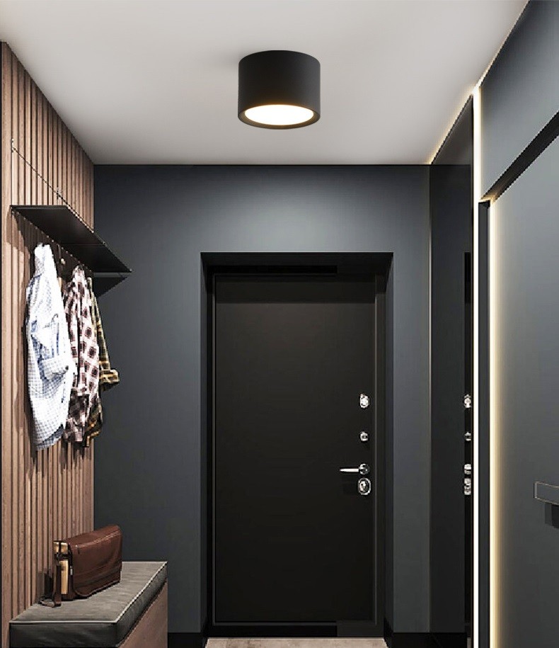 LED Ceiling Light