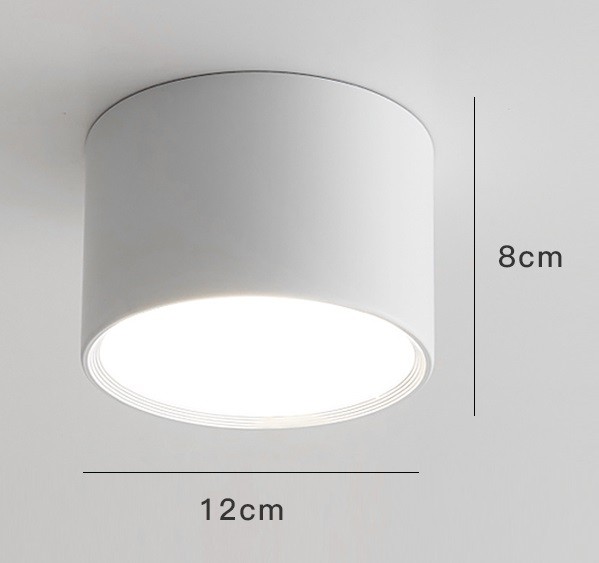 LED Ceiling Light