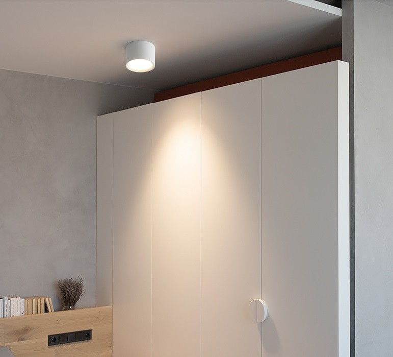 LED Ceiling Light
