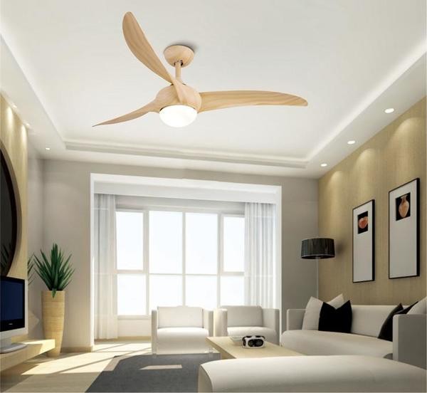 Indoor Ceiling fan light