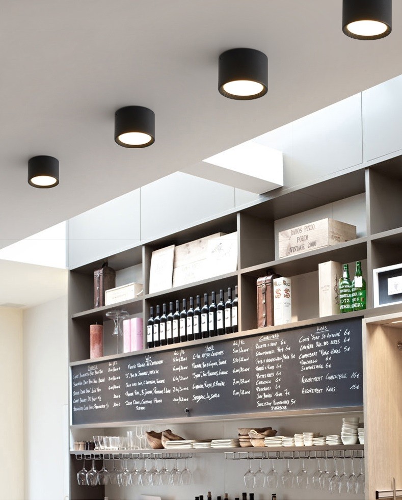 LED Ceiling Light