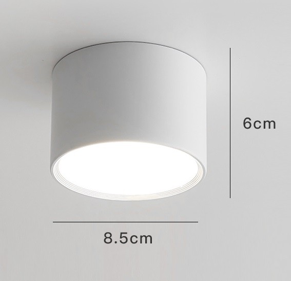 LED Ceiling Light