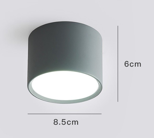 LED Ceiling Light