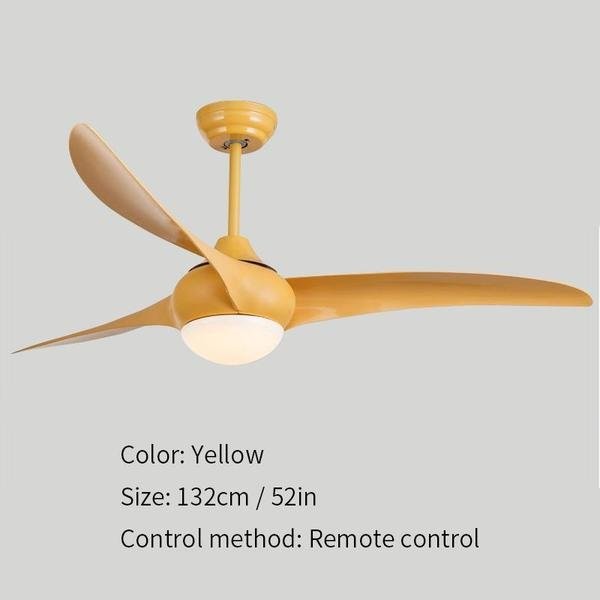 Indoor Ceiling fan light