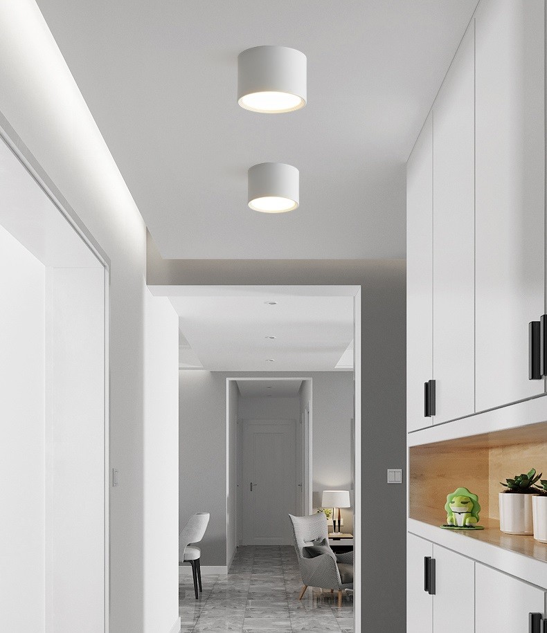 LED Ceiling Light