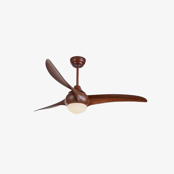Indoor Ceiling fan light