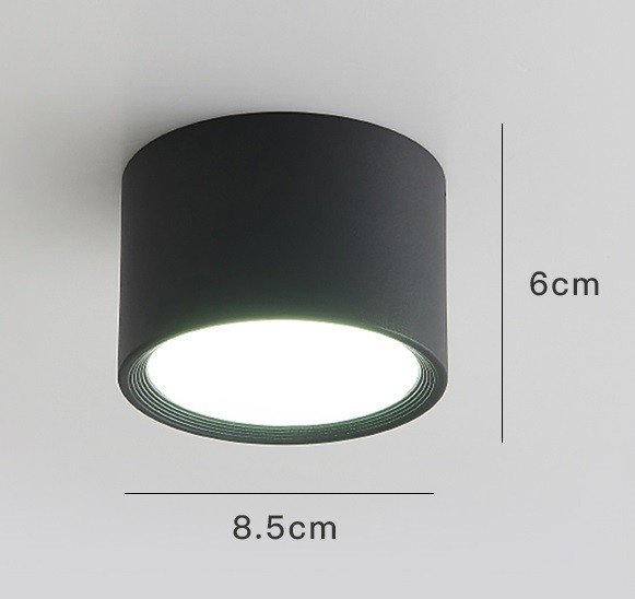 LED Ceiling Light