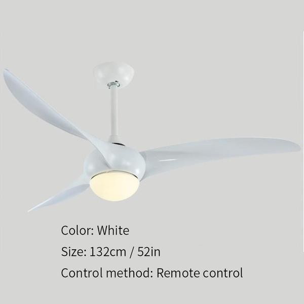 Indoor Ceiling fan light
