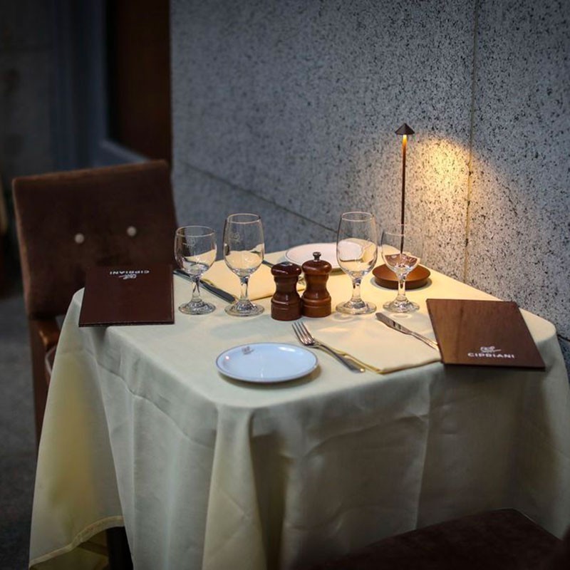 Pine Rechargeable LED Table Lamp