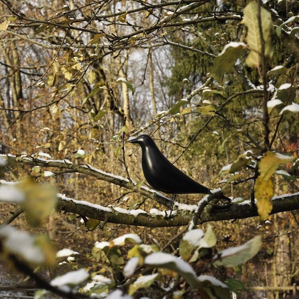 Eames House Bird