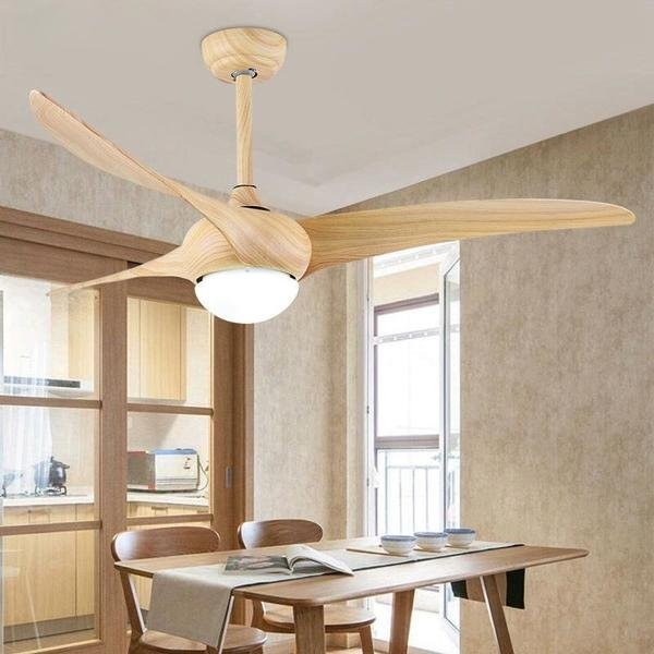 Indoor Ceiling fan light