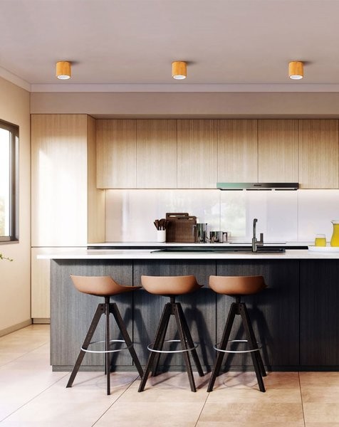 Wood Ceiling lamp