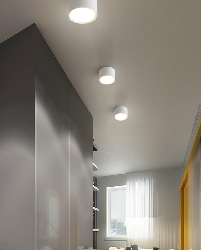 LED Ceiling Light