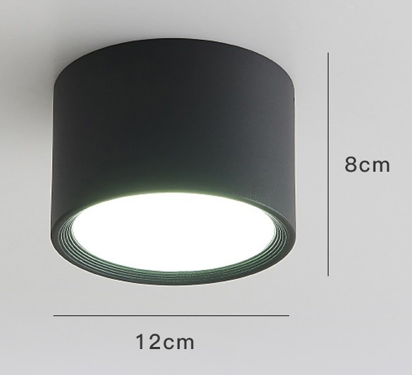 LED Ceiling Light