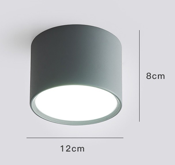 LED Ceiling Light